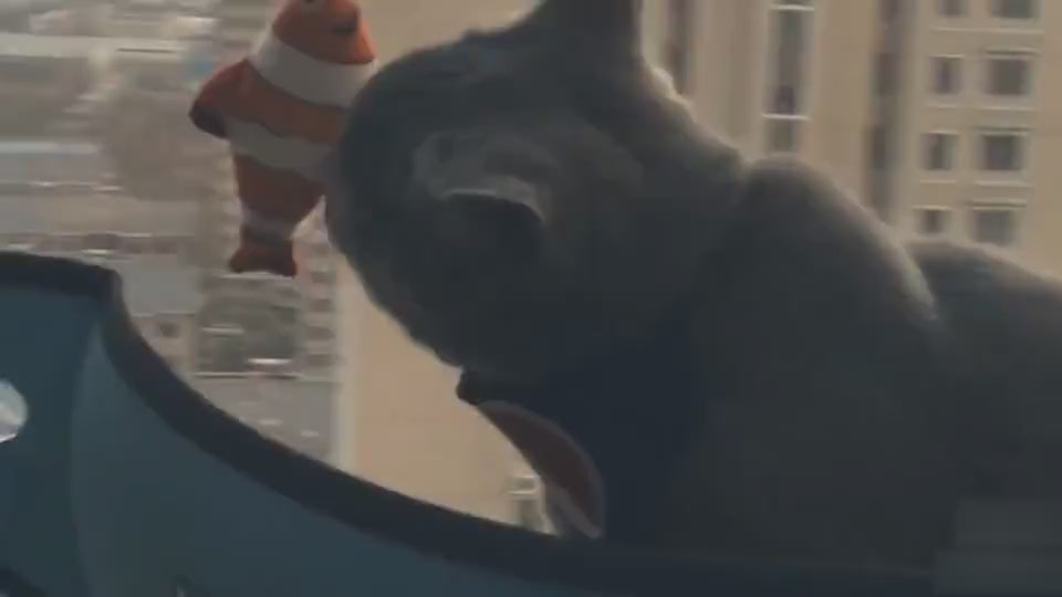 Pet Hammock Window Hanging